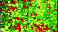 Base X - Kaleidoscope