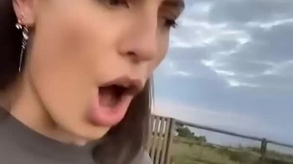 the most funny things in the world