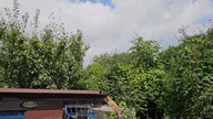 Oblot, problemy z siecią GSM.