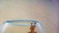 Tom. and. Jerry. E06. Puss. NToots. 720p. BrRip. x265. HEVC-PSA