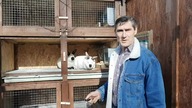 Klatka dla królików i nowy królik kalifornijski * rabbit cage and new california rabbit