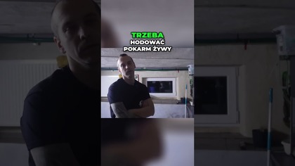  Jak karmić małe ryby?