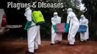 epidemia