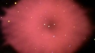 Rozowa Pantera 059 - Slink Pink