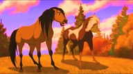 Spirit stop breaking my heart!
