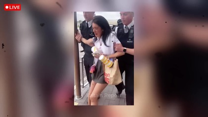 Ricky Gervais ERUPTS in Rage on Starmer Over Schoolgirl Arrest for Buying Mac After 5pm (1080p 30fps H264-128kbit AAC)