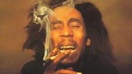 Bob Marley - Mr.  Brown
