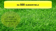 POGOŃ SZCZECIN - LECH POZNAN KONFRONTACJA