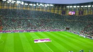 Irlandia rządzi na trybunach PGE Areny. Tylko na trybunach...