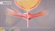 WPOLSCE24 - 08-09-2024 - Reklamy