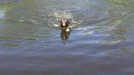 Shark attack