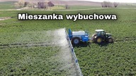 Wybuchowa mieszanka na bombowy rzepak/ Kula