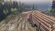 SPINTIRES