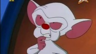 Pinky i M&oacute;zg S03E05 - Feldmanowie moi przyjaciele