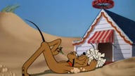 Pluto - Nowy Dom Pluta
