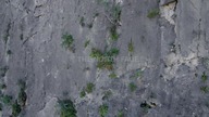 Wspinaczka bez zabezpieczenia - Alex Honnold