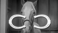 Koń, który mówi S02E11 - Sublokator (dubbing - 1965)