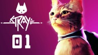 PREMIERA!  Stray PL #1