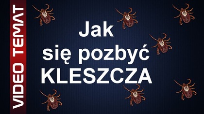 Jak usunąć kleszcza - Skuteczne sposoby na kleszcze
