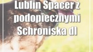 Lublin: Spacer z podopiecznymi Schroniska dla Bezdomnych Zwierząt