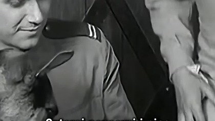 CZTEREJ PANCERNI I PIES  jak zdobywano puszki piwa dla jednej sceny? #czterejpancerni #prl #szarik