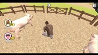 This is normal day in Poland #Short #Shorts #browsegame #Browsegamer