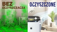 Oto cała prawda o oczyszczaczach powietrza 
