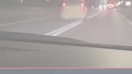 Pijany kierowca zjeżdża prosto przed TIR-a.  Świadek zabrał mu kluczyki | AutoSzkodniki #Shorts