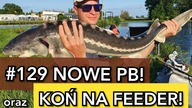 #129 Nowe PB i koń na feeder! Łowisko Złoty Karaś