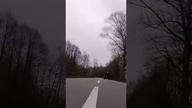 speed