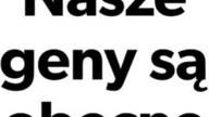 Słowiańskie Geny #słowianie #geny #rasa #genotype