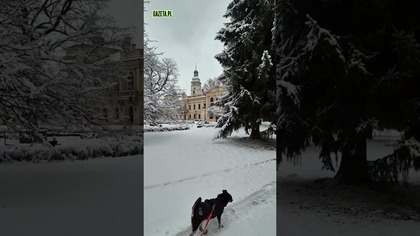 W Żywcu sypnęło śniegiem.  Zapraszamy na spacer po żywieckim parku