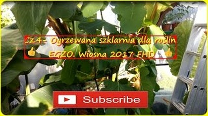 #217.  Cz. 4- Szklarnia dla roślin egzotycznych w PL.  Wiosna 2017 FHD
