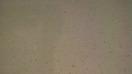 Stary Samsung