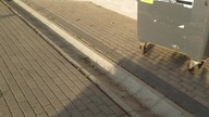 najnowsza dyrektywa unijna dotycząca ekologicznych grobów...  ja już jeden znalazłem a ty?