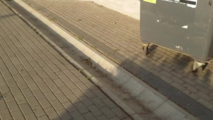 najnowsza dyrektywa unijna dotycząca ekologicznych grobów...  ja już jeden znalazłem a ty?