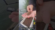 Jesienny BIG BOY na DUŻE misie