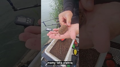 Jesienny BIG BOY na DUŻE misie