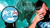 PETA: Najbardziej Zbędna Organizacja vs PIXELE