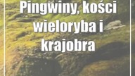 Pingwiny, kości wieloryba i krajobrazy.  Polarne muzeum coraz bliżej otwarcia