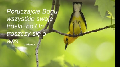 Daj mi dziś nowe serce (1)