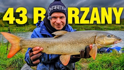 ODRA TO ODRA !!! BRZANY W GAZIE !!! KLASYCZNY FEEDER NA RZECE !!!