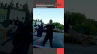 Czy wytłumaczy ktoś o co mu chodziło? #shorts