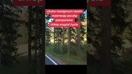 Chłop oszukał przeznaczenie ...   #jazda #motor #smile #heapy #heheszki #haha #hehe #dowcip #humor