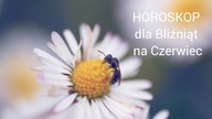 Horoskop Bliźnięta Czerwiec 2021 Walcz o swoje, a czeka Cie sukces