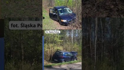 Wypadek Posła Litewki Jeszcze Bardziej Tajemniczy! Czy Pokazali Nam Dwa Różne Samochody?