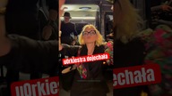 uOrkiestra dojechała#travel #podróże #trasa #bus #business #golec #concert #pop #show