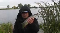 Na ryby z Markiem # 105 Rankiem na szczupaka I Wędkarstwo