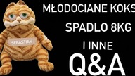 Kot Środki Q&A