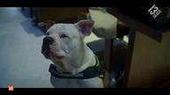 Blanca [s02e01]pl